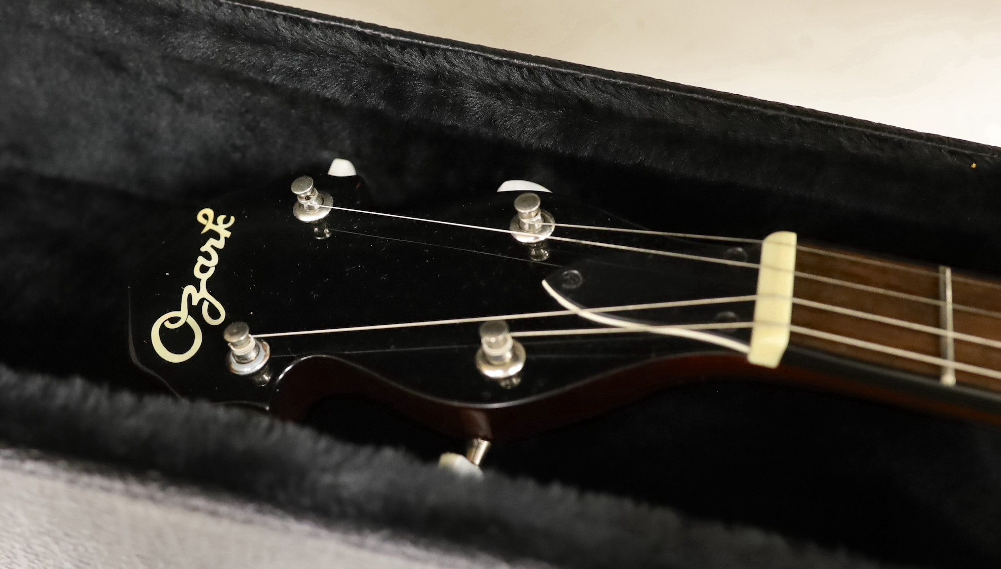 An Ozark banjo in a hard case